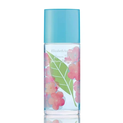 Image for product with EAN 0085805242732