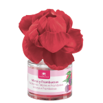 Image for product with EAN 8436571515551