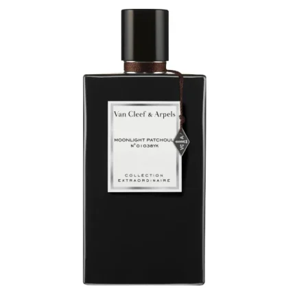 Image for product with EAN 3386460078795