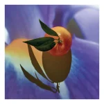 Image for product with EAN 8426017083409