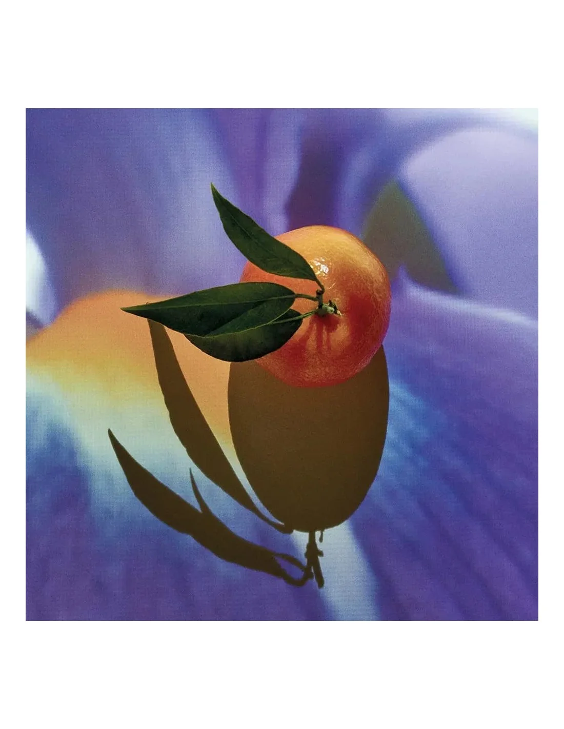 Image-8426017083409 Image for product with EAN 8426017083409