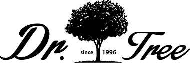Image for brand with name DR. TREE