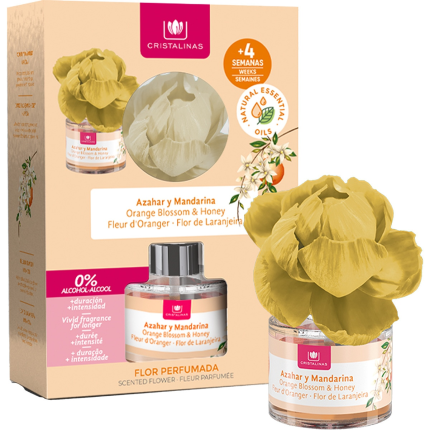 Image for product with EAN 8436571515537