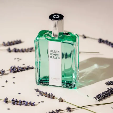 Image for product with EAN 3387952003202